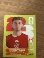 Panini Fifa CAN 14