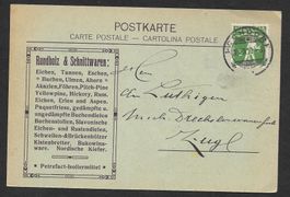 Hochdorf illustr. Postkarte M. Schmidt Rundholz 30.8.1910