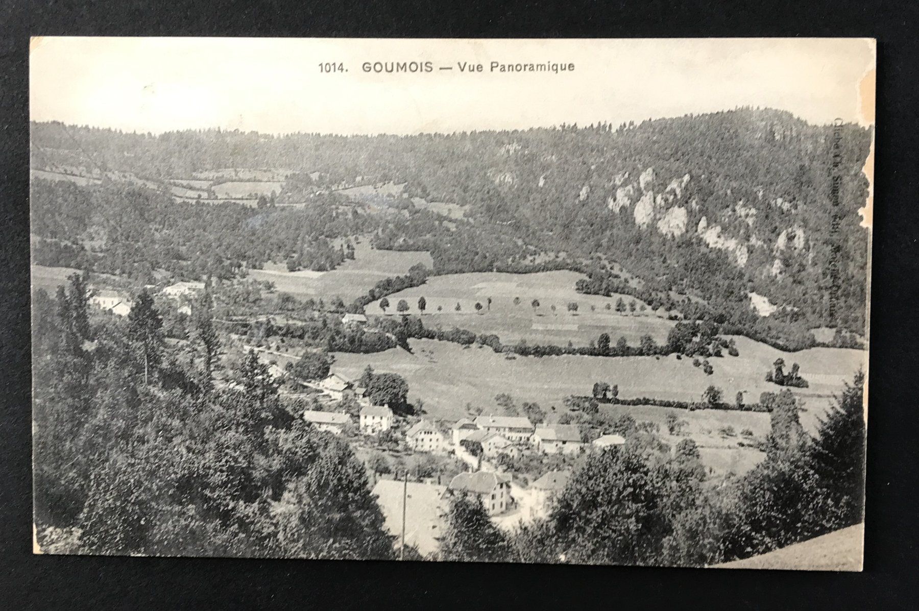 Cartoline postali: ANTIKE ANSICHTSKARTE GOUMOIS – Usato da Ostermundigen venduto da wini63