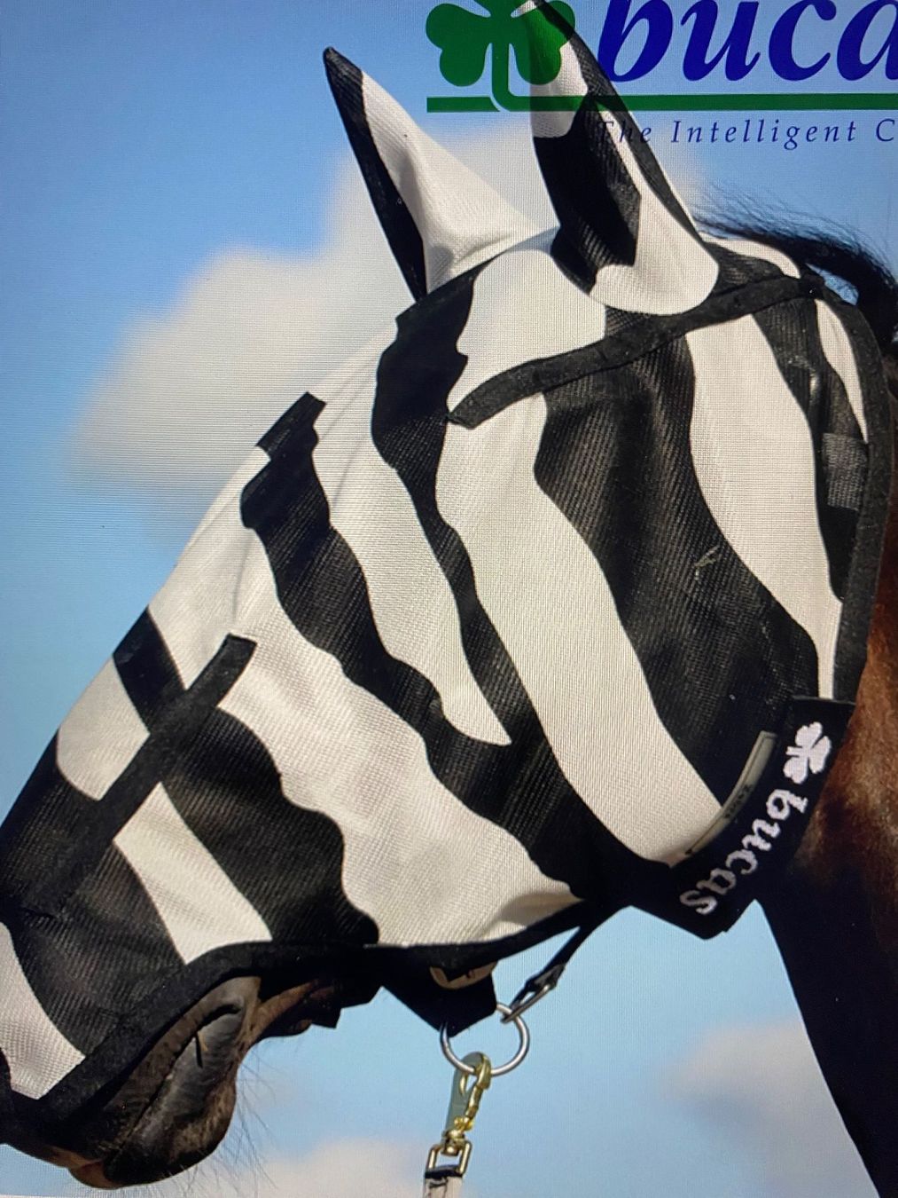 Briglie & Cavezze: Bucas Buzz Off Zebra Fliegenmaske - L – Usato da Wohlen AG venduto da Robballantine