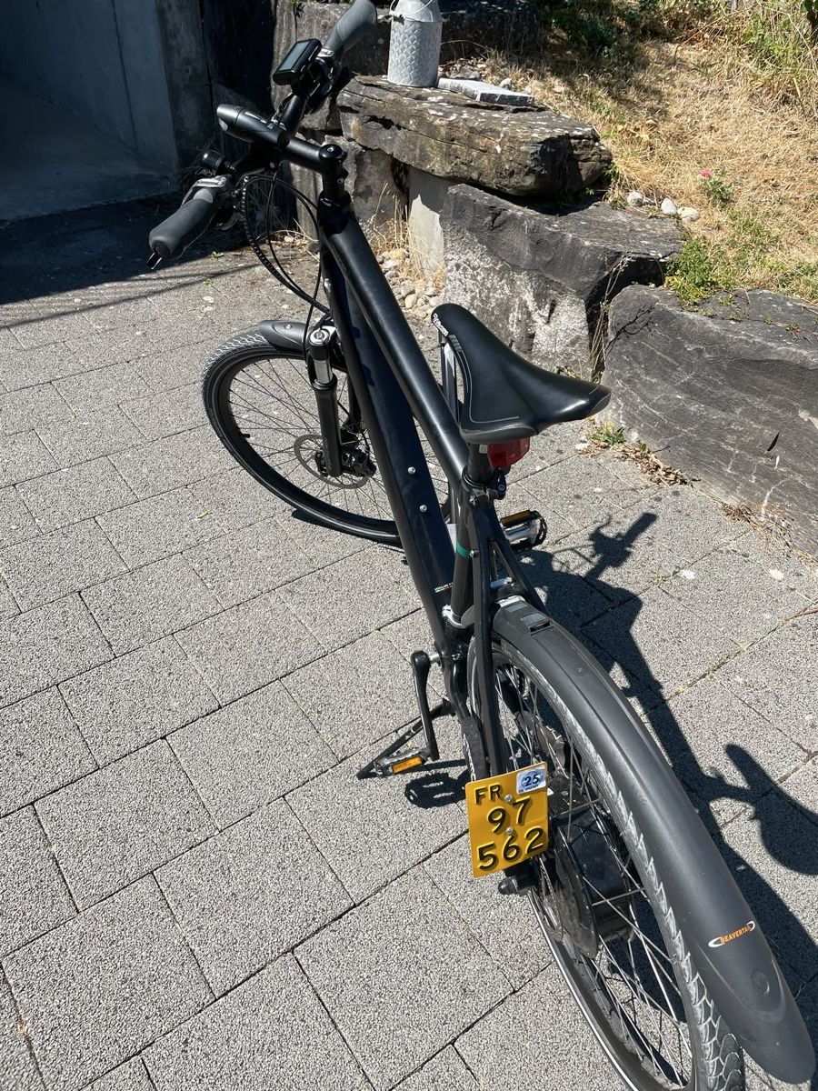 Stromer Velos: Thoemus Stromer 500 – Defekt aus Gurmels von Lorelei08
