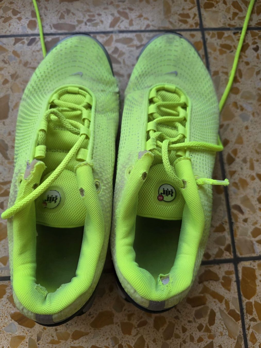 Nike Scarpe da uomo: Nike Tns Neon Green – Usato da Wallisellen venduto da leonsk 1