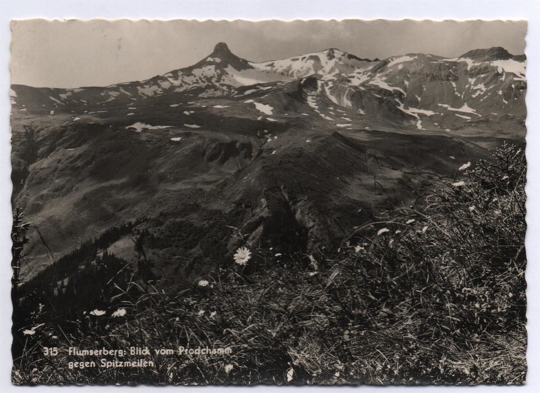 Cartes postales: FLUMSERBERG Blick vom Prodchamm – D'occasion à Jona par philajona