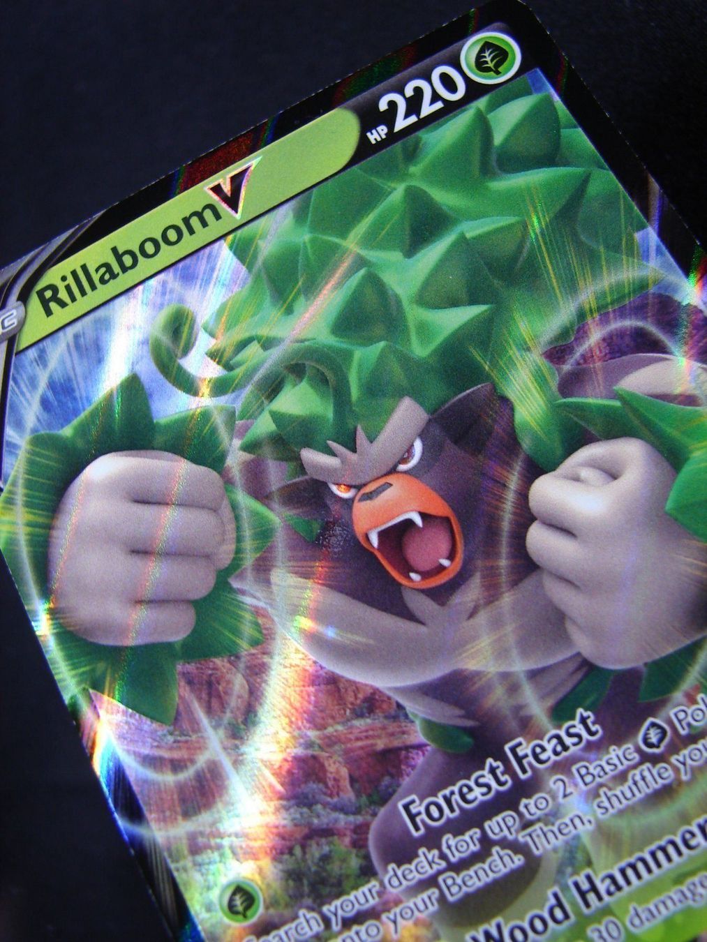 Pokémon Carte collezionabili: Rillaboom V - Promo - Mint           /34 – Nuovo (secondo la descrizione) da Rümlang venduto da coh_87ww 4