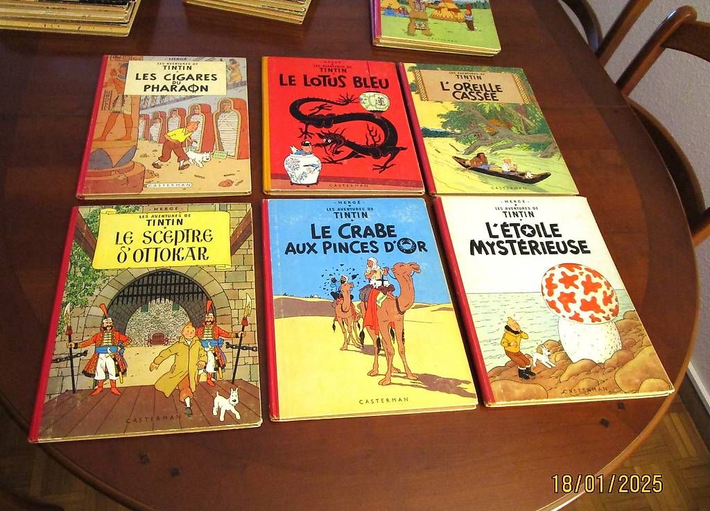 Fumetti: 26 BD TINTIN – Usato da Chêne-Bourg venduto da breno56 2