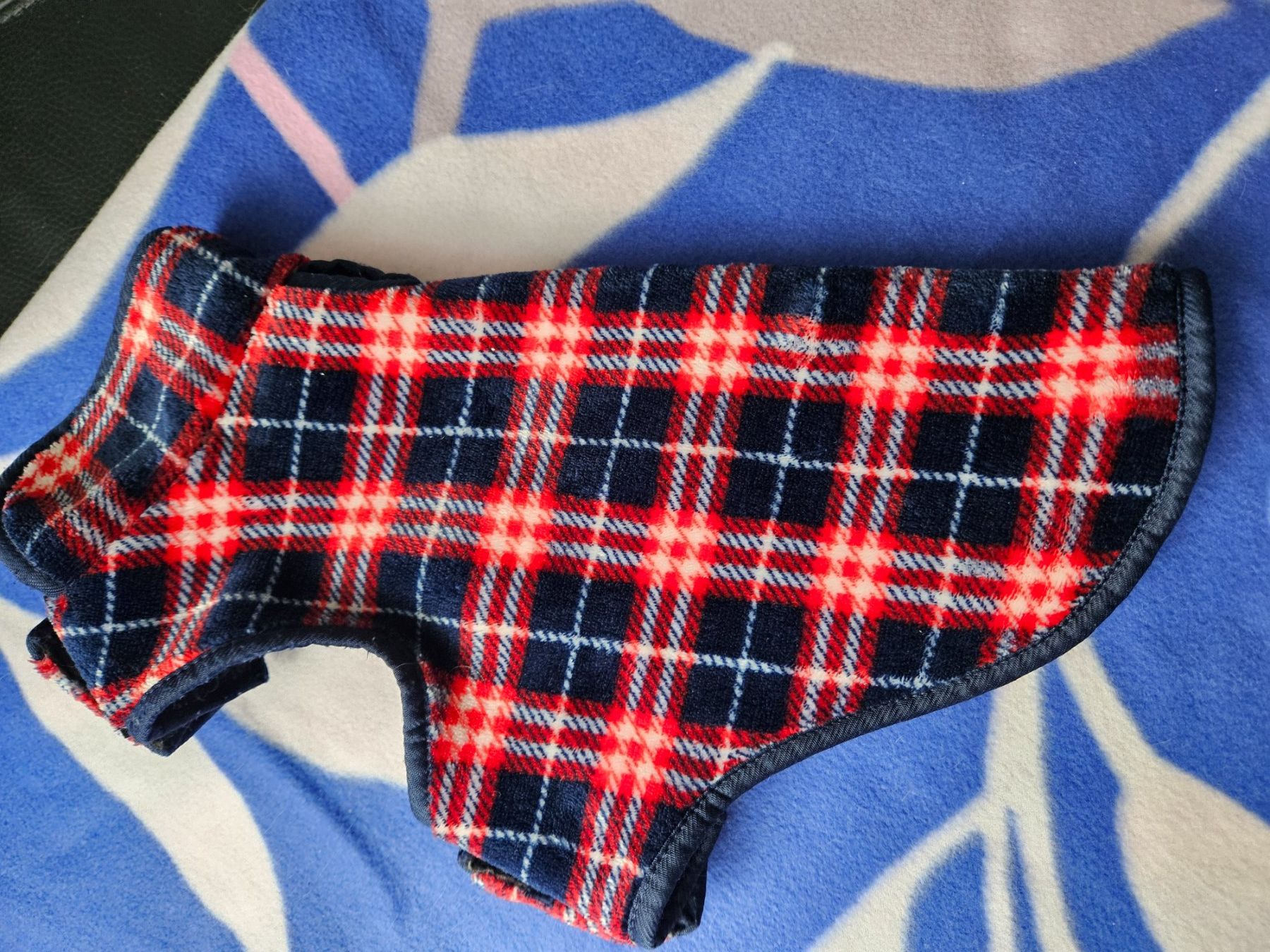 Abbigliamento: Hunde Mantel – Usato da Oberwangen TG venduto da jan_y6sm 6