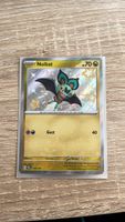 Pokémon Noibat 194/091 shiny - Near Mint