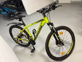 Orbea Velo MTB 29 50, Top Zustand! Super für den Herbst!
