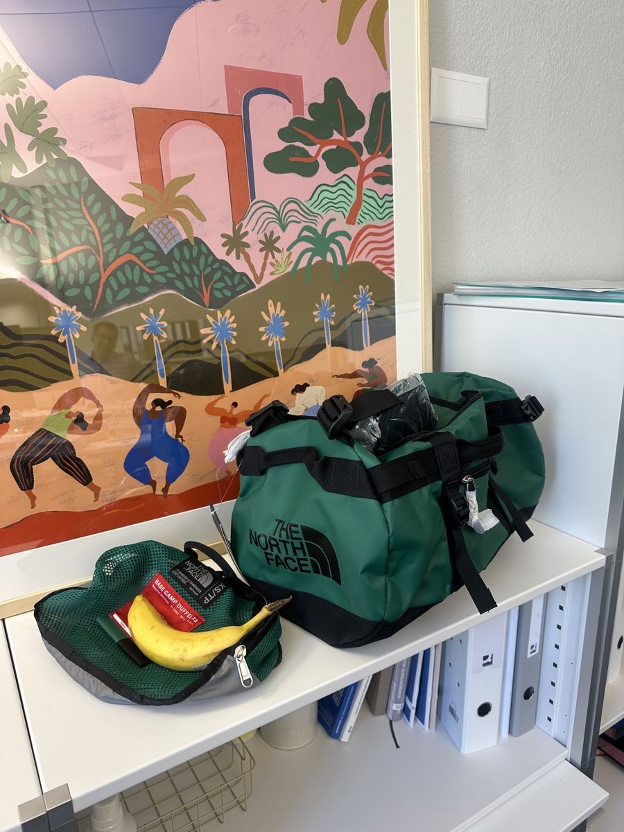 Borse: Northface Duffel xs grün, neu – Nuovo e nell'imballaggio originale da Meilen venduto da sveball 1