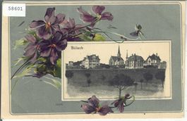 Bülach - Dorfpartie - Blumen-Litho