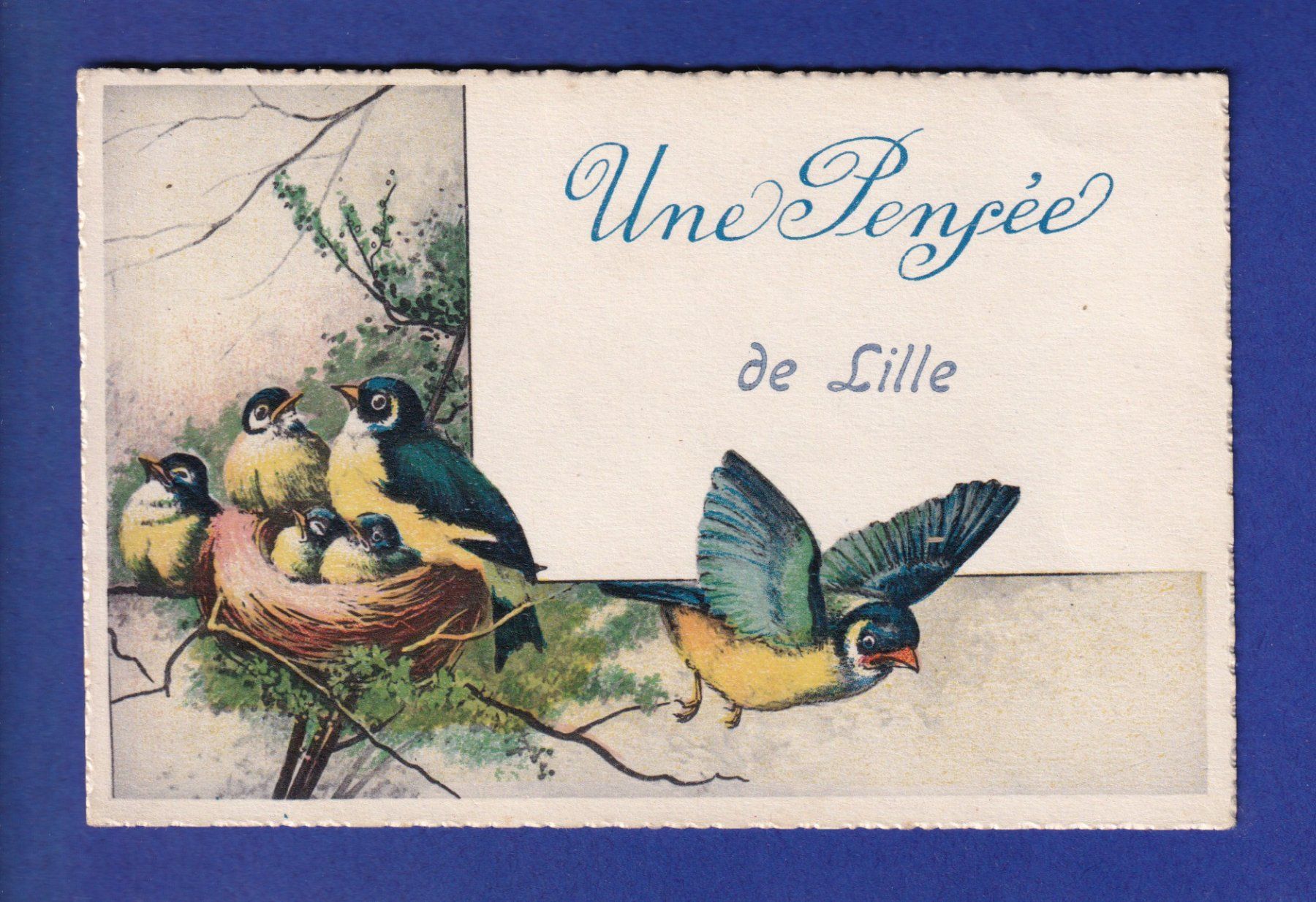 Ansichtskarten: OISEAU - Mésanges - Une pensée de Lille – Gebraucht aus Pully von nicecards-shop