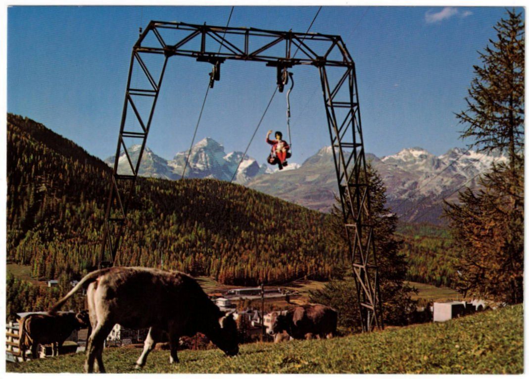 Cartoline postali: Pontresina - Sessellift Alp Languard – Usato da Binningen venduto da Mountainrider