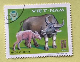 Briefmarken aus Vietnam gestempelt  Siehe Original Fotos.