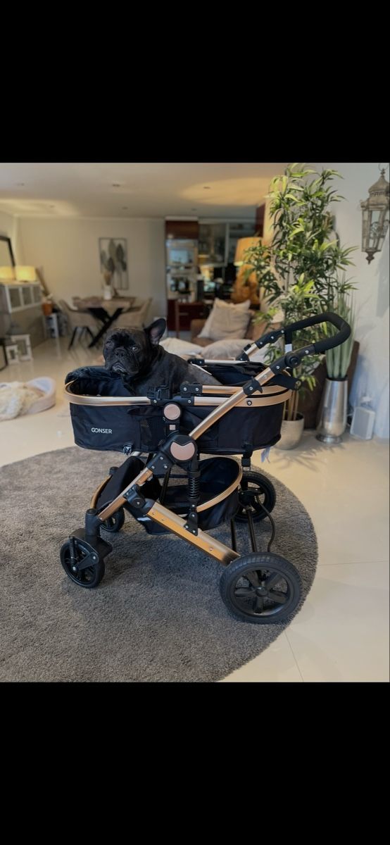 Carrozzine: Kinderwagen für Hund – Usato da Hergiswil NW venduto da Kylee