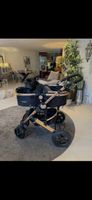 Kinderwagen für Hund