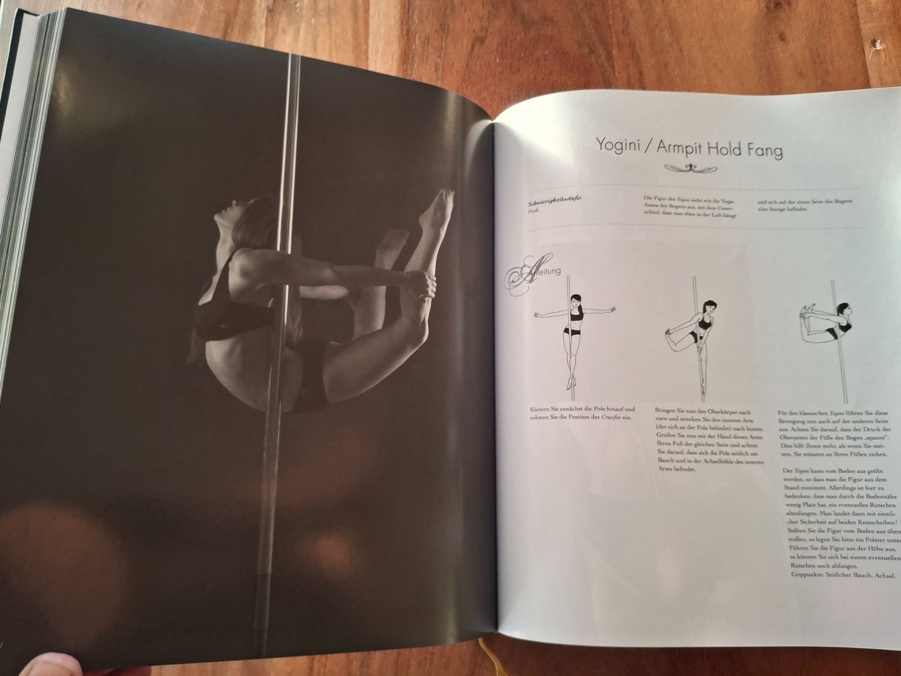 Libri: Poledance Passion Buch Technik Training Leidenschaft gute... – Usato da Horriwil venduto da TOKYONIGHTS 3