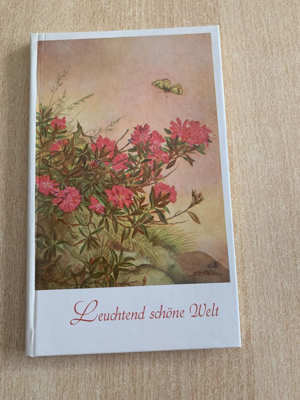 Livres: Leuchtend schöne Welt – D'occasion à Reinach BL par Grolifcb