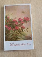 Leuchtend schöne Welt