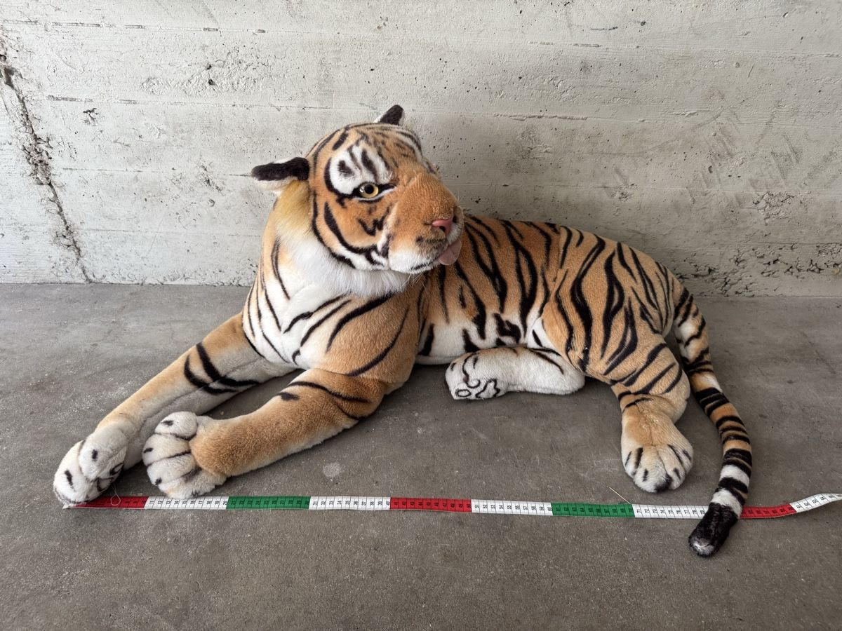 Giocattoli: Tiger – Usato da Bern venduto da ava_l8tk 2