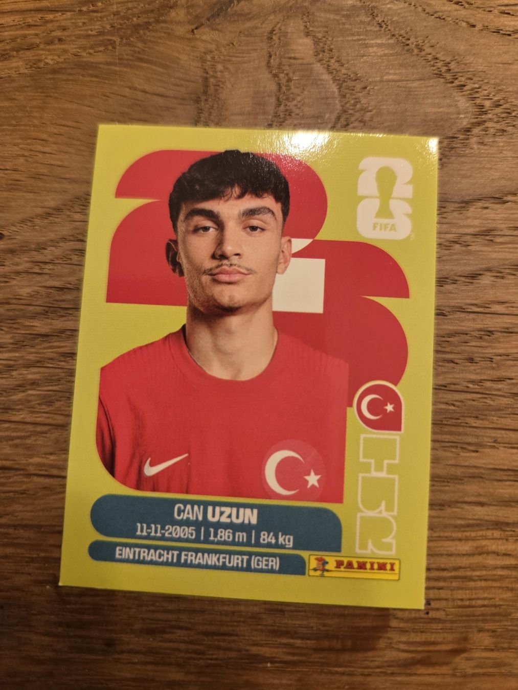 Panini Carte collezionabili: Panini Sticker 2026 TUR 17 – Nuovo (secondo la descrizione) da Luzern venduto da .Skylake.