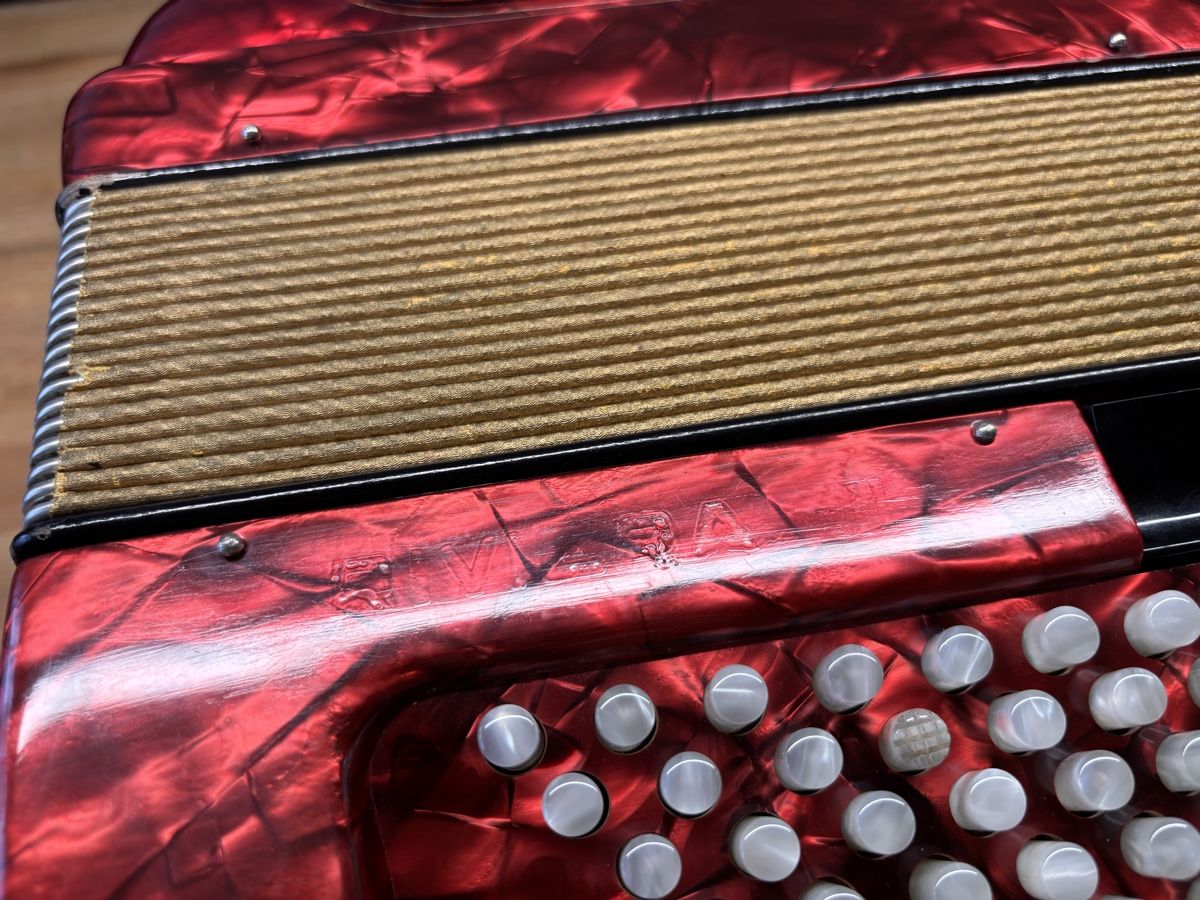 Hohner Strumenti musicali: Hohner Riviera 3 - Akkordeon – Usato da Greifensee venduto da Shuttlepimp 2