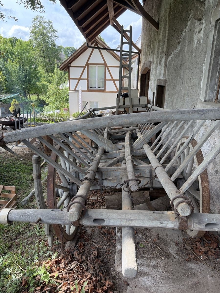 Rimorchi: Holzwagen – Usato da Arisdorf venduto da Lerpi 5