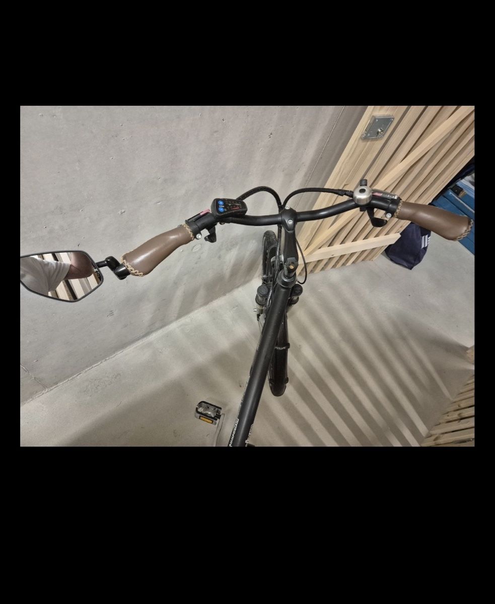 Biciclette: Ebike electric bike – Usato da Schlieren venduto da erm_7dbc 5