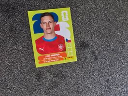 Panini WM 26 - CZE10
