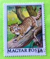 Briefmarken aus Ungarn gestempelt Siehe Original Fotos. 