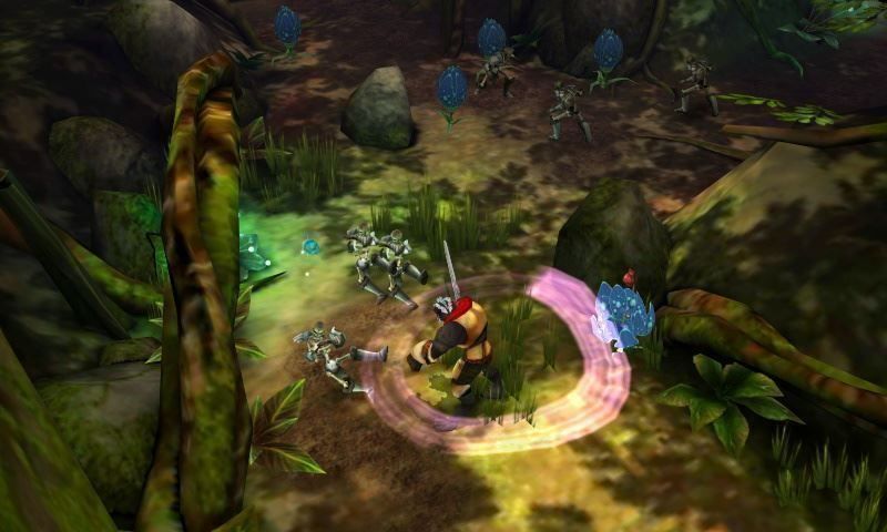 Nintendo Giochi: Heroes of Ruin 3DS – Usato da Schüpfheim venduto da Games_Spielkonsolen 3