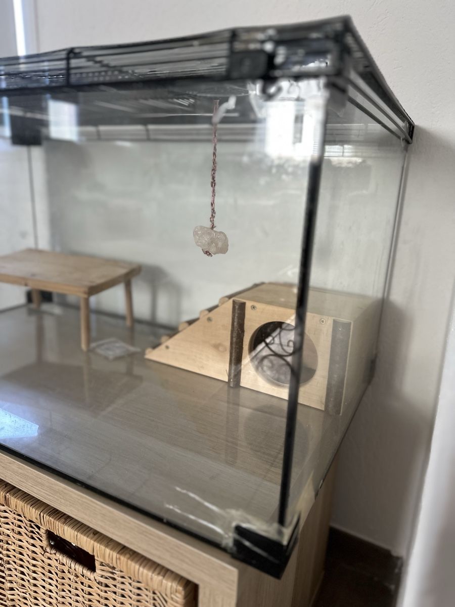 Gabbie, trasporto & Sicurezza: Hamster Cage with Accessories & Storage Unit - Nice! – Usato da Lenzburg venduto da buy_my92 5