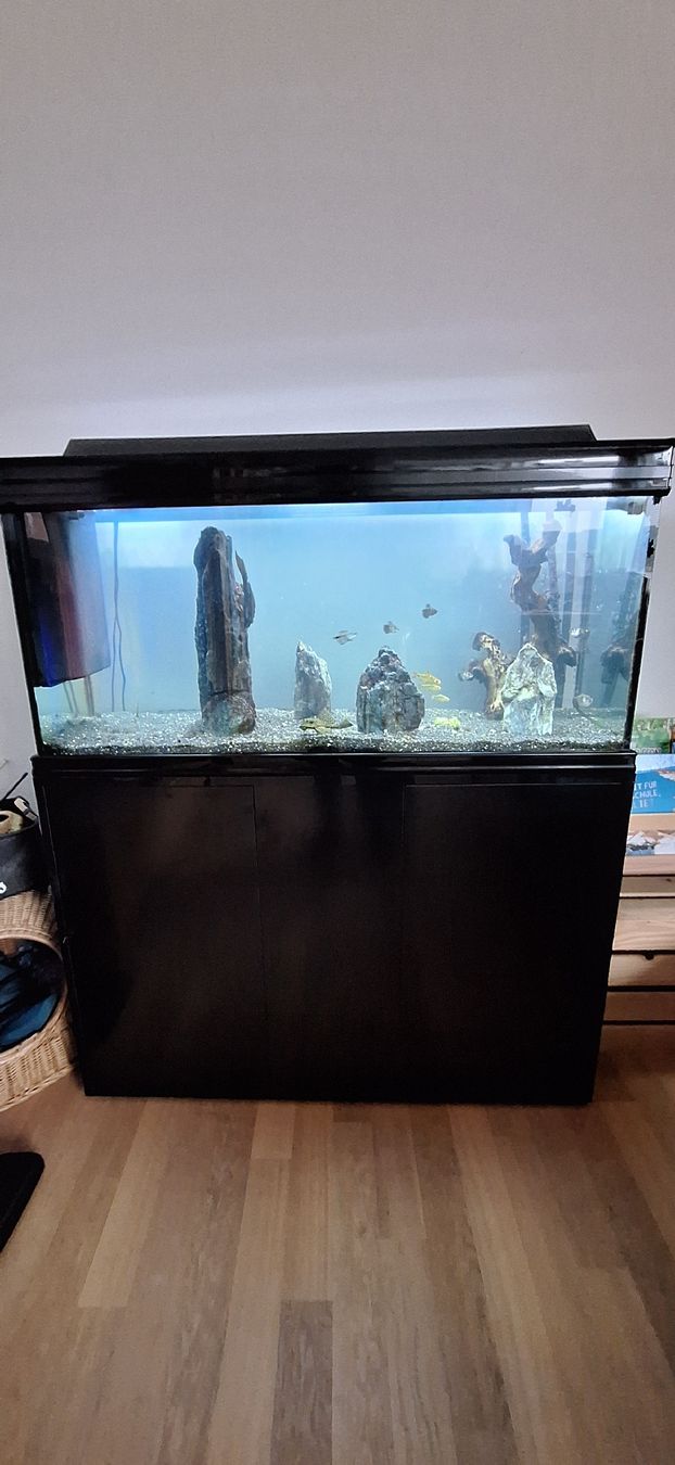 Acquari: Aquarium Aquatlantis – Usato da Hochdorf venduto da FRESHTRASH 3