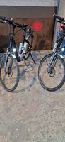E Bike Flyer carbon Damen Herr