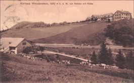 Weissenstein SO // 1910 Bauernhof Kühe Kurhaus // Solothurn