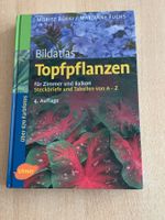 Bildatlas Topfpflanzen für Zimmer und Balkon