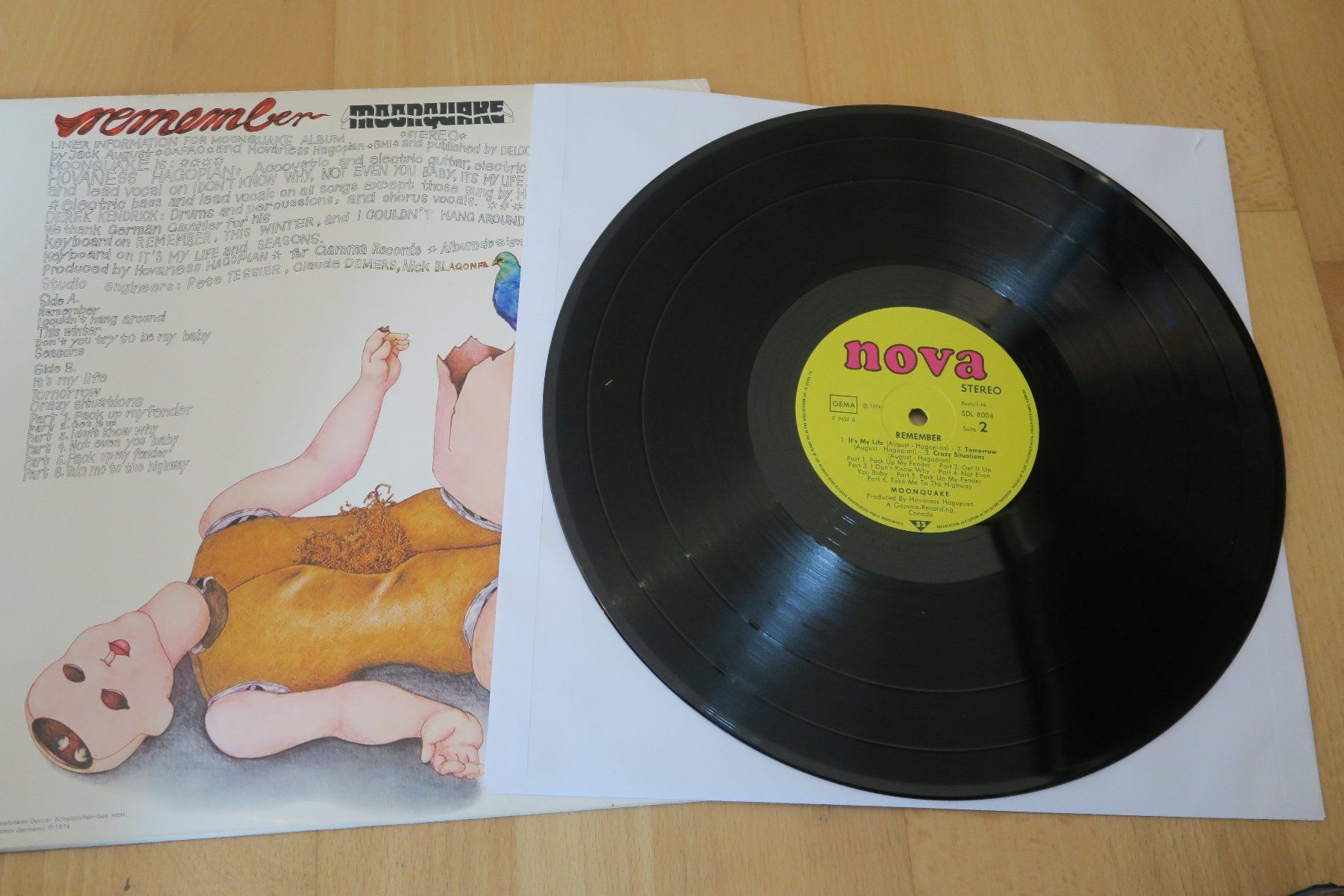 Dischi in vinile: Moonquake – Remember – Usato da Thun venduto da Karibu70 3