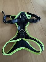 Grossenbacher Hundegeschirr 4XS