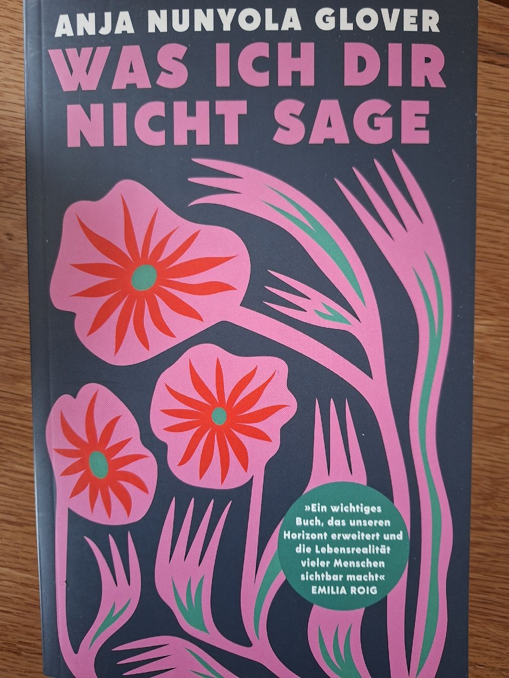 Bücher: Was ich dir nicht sagen – Gebraucht aus Appenzell von palme14
