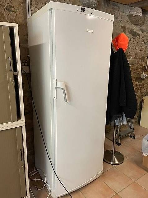 Gefrierschrank: Electrolux Gefrieschrank EUF2704 – Gebraucht aus Stäfa von roggo1 4