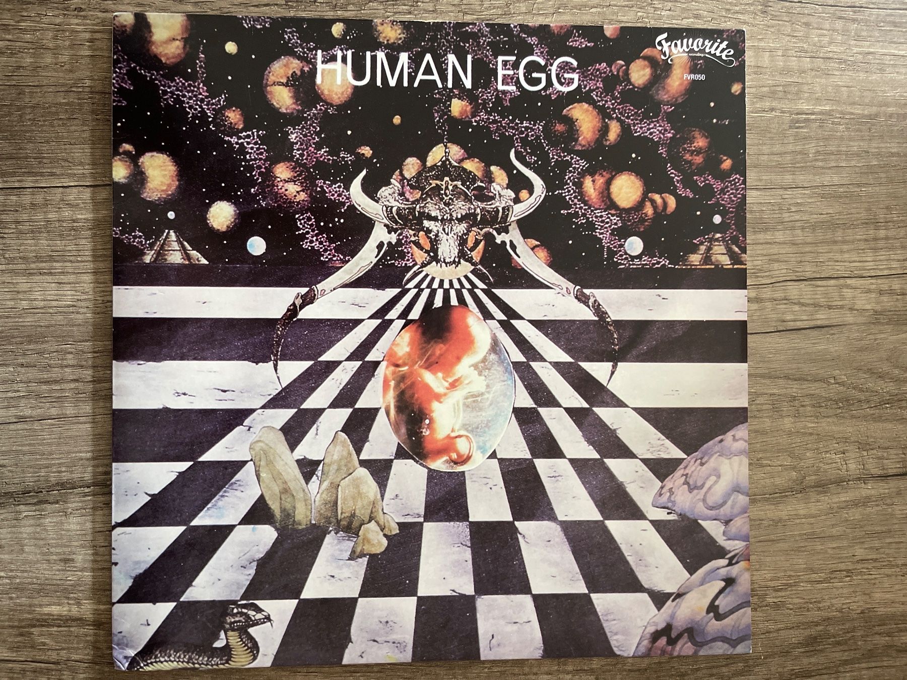 Vinyles: S1178/Human Egg – D'occasion à Frutigen par Philippe_jsp