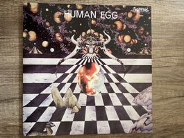 S1178/Human Egg