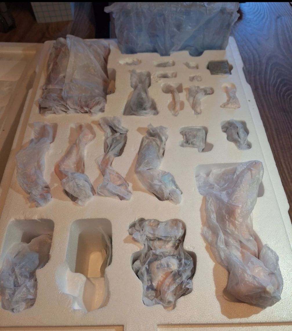 Statuette: Honkai: Star Rail Silver Wolf Resin Statue - Hakimi Studio – Nuovo (secondo la descrizione) da Ormalingen venduto da Basilea74 8