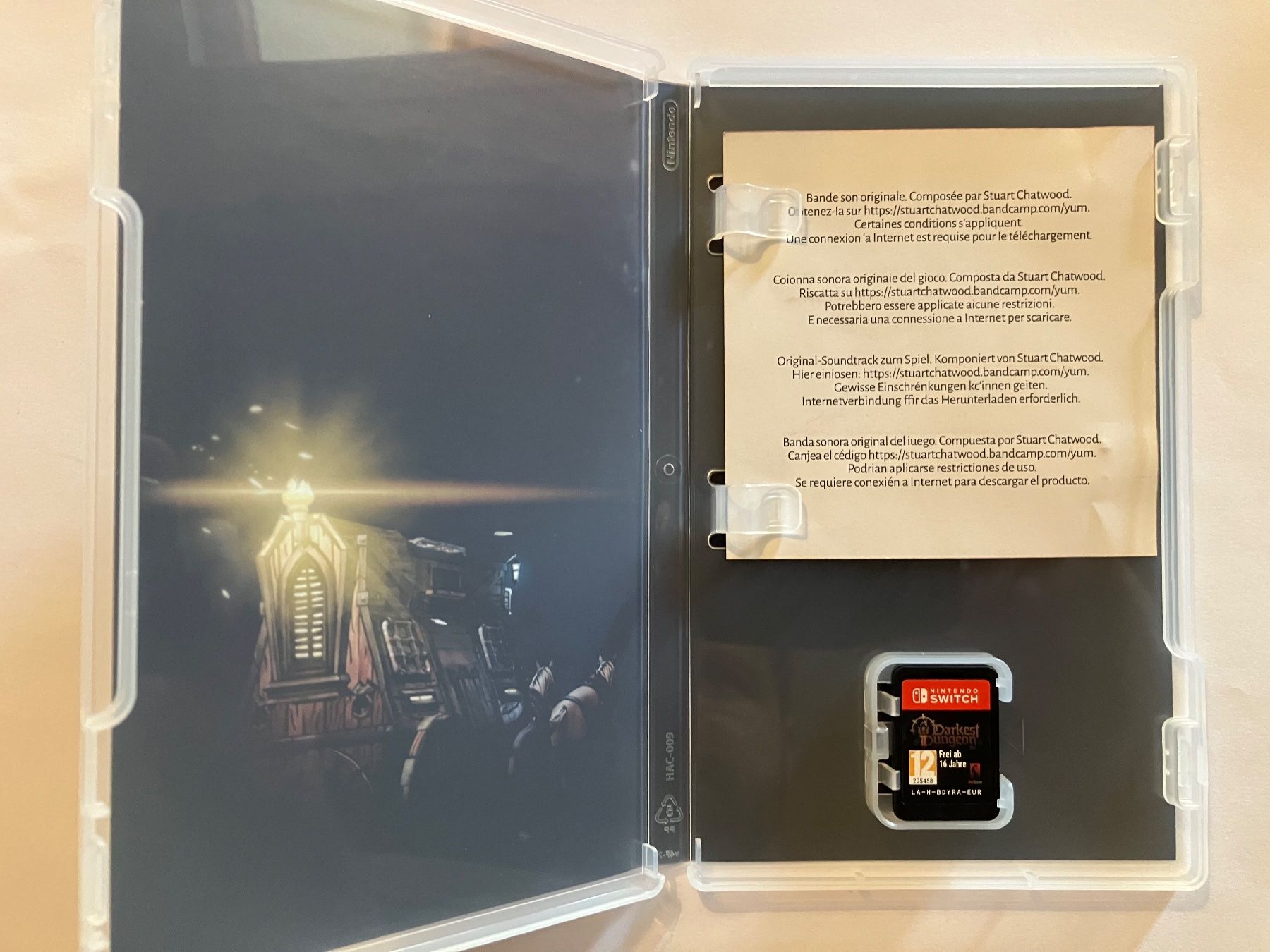 Nintendo Giochi: Darkest Dungeon 2 – Switch – Usato da Ecublens VD venduto da Lenordique 2