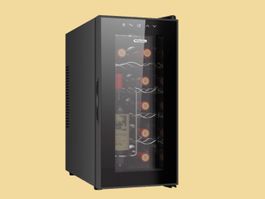 Weinkühlschrank 10 Flaschen 28l – leise & kompakt, wie neu