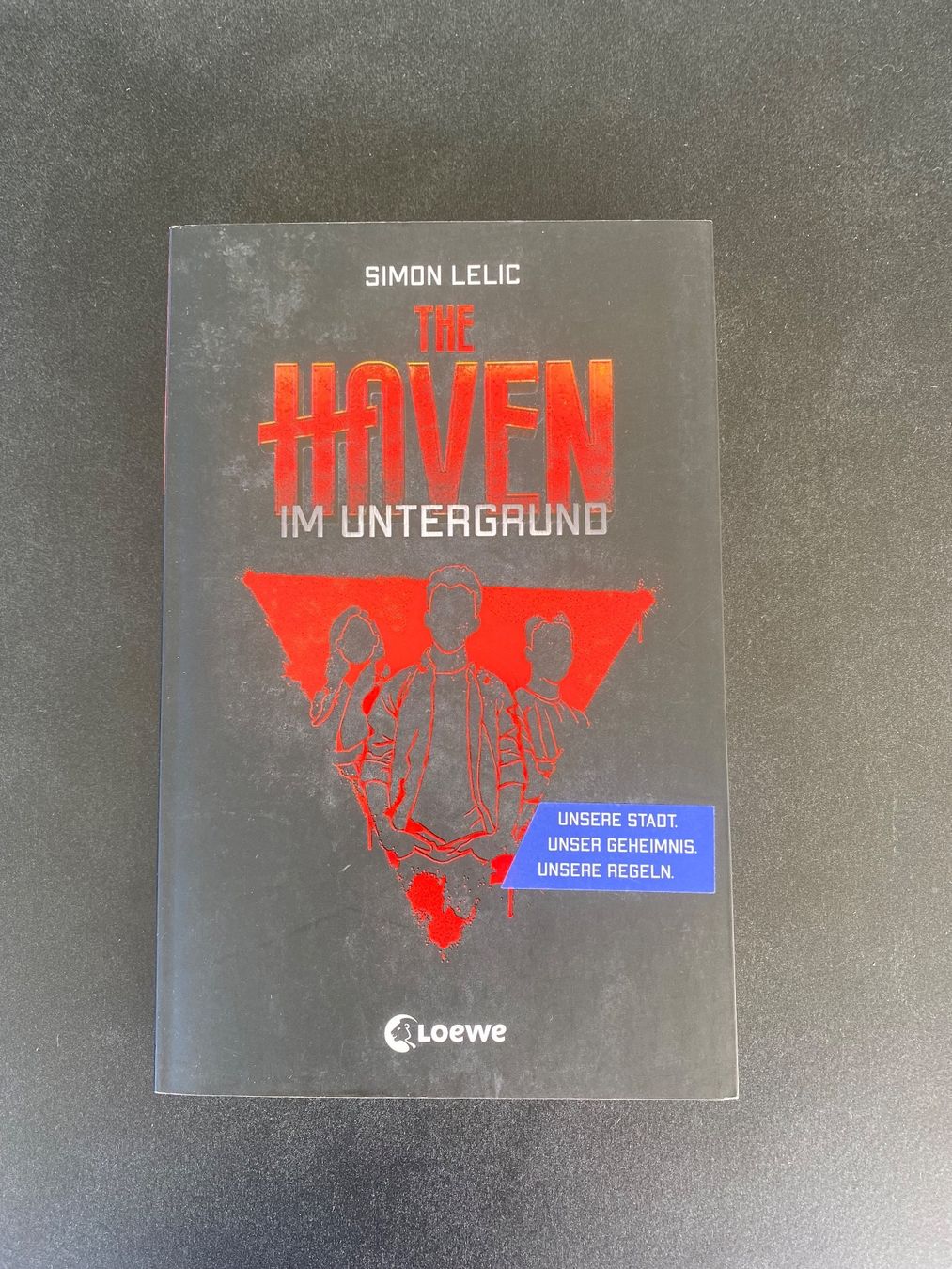 Libri: Simon Lelic The Haven im Untergrund – Usato da Tagelswangen venduto da Laurastern1