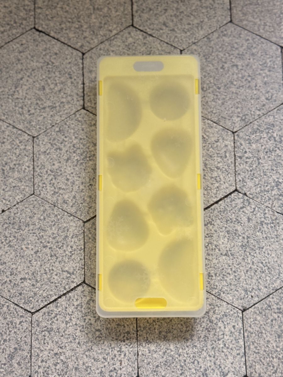 Elettrodomestici da cucina: Eiswürfelform mit Deckel (neu) – Nuovo (secondo la descrizione) da Zürich venduto da nakasch 1
