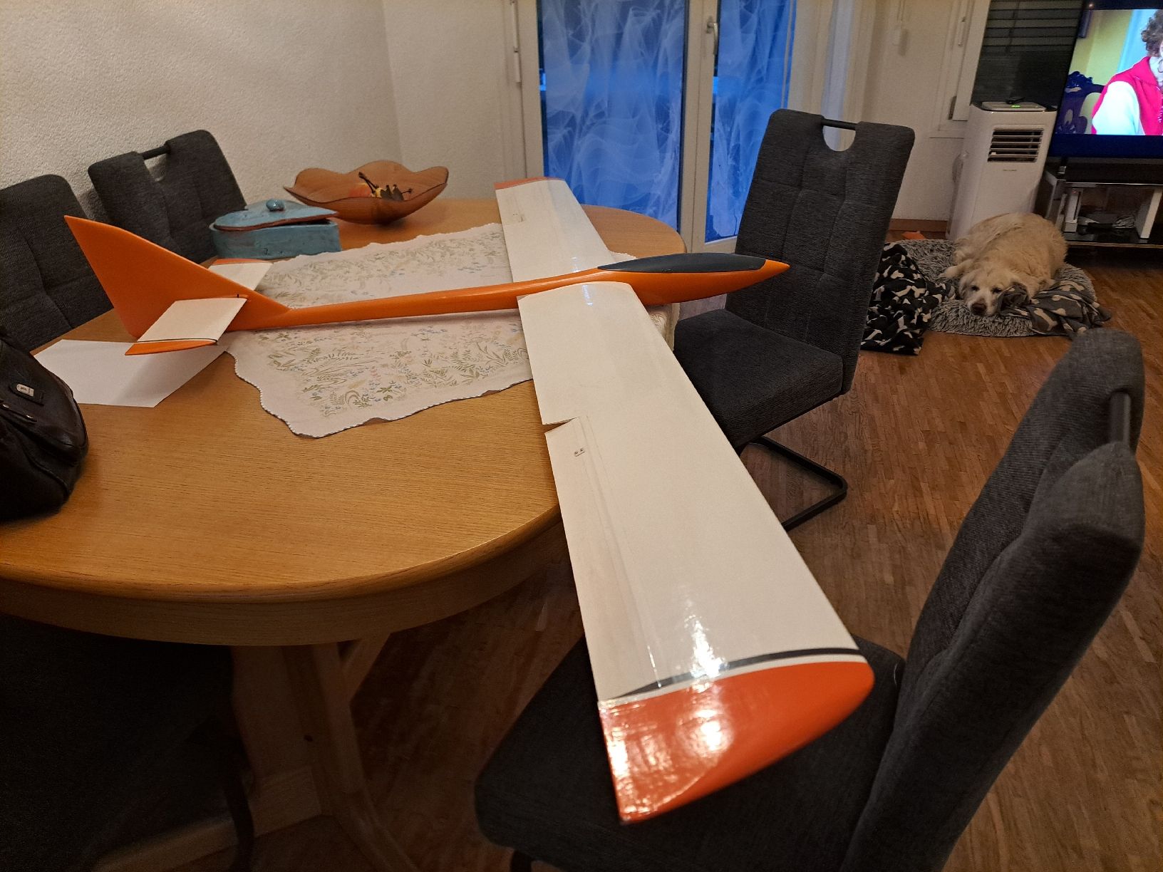 Modellismo RC: Speed Segler – Usato da Villars-sur-Glâne venduto da hyperpat01