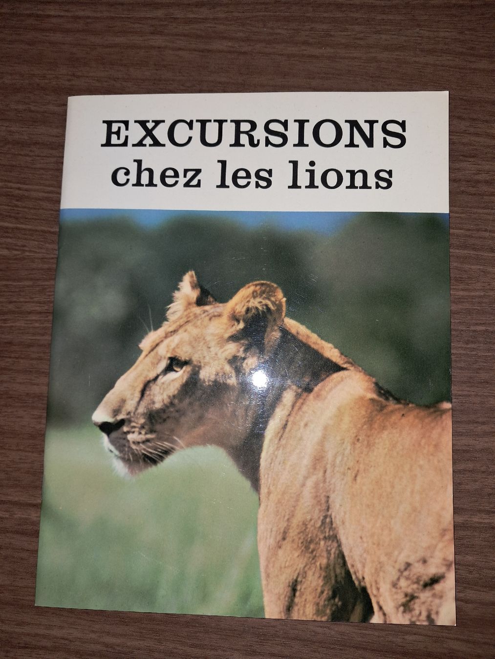 Libri: Excursions chez les lions – Usato da Le locle venduto da juliensaran