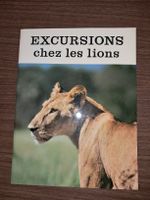 Excursions chez les lions
