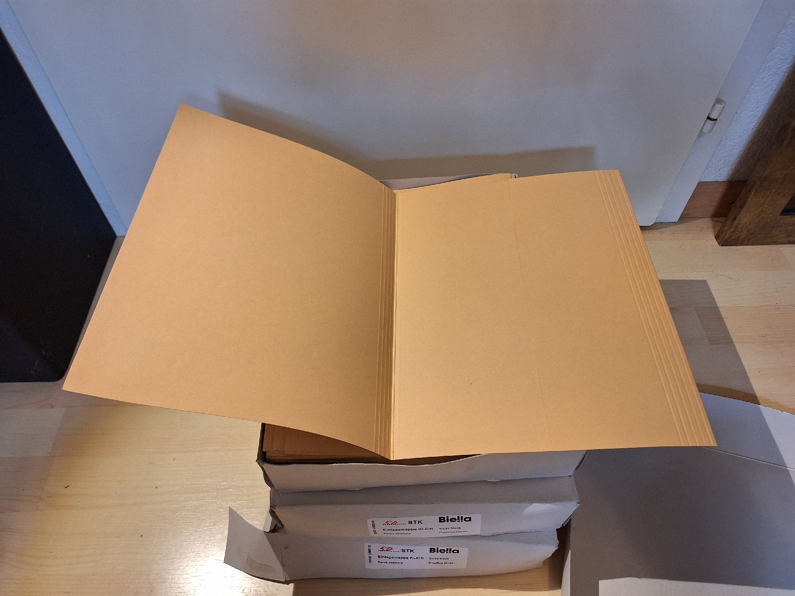 Biella Raccoglitori: Ca. 150 Biella Einlegemappen Chamois – Nuovo e nell'imballaggio originale da Ipsach venduto da nik_6hkj 1